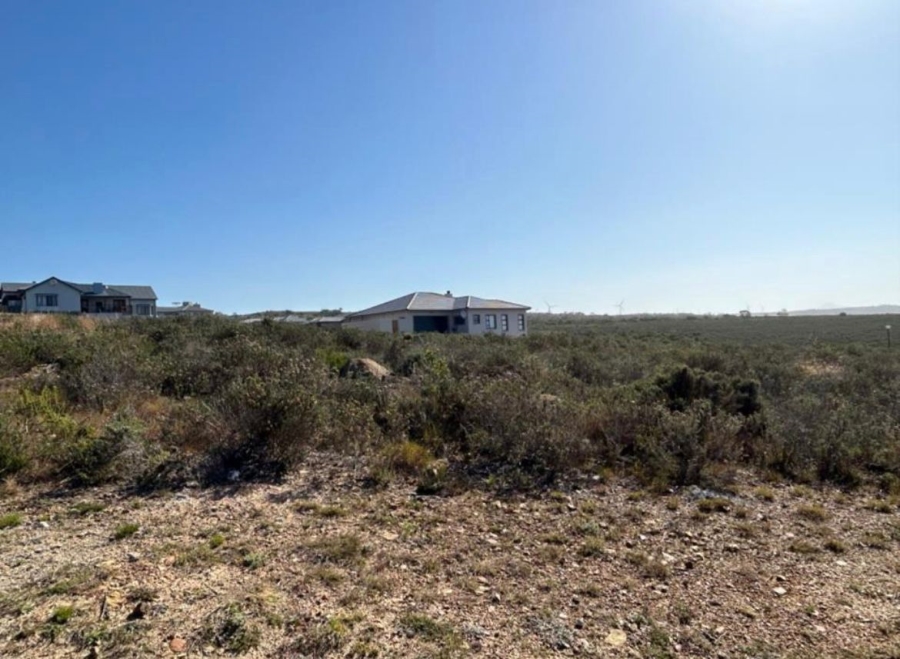 0 Bedroom Property for Sale in Blue Waters Estate Eastern Cape
